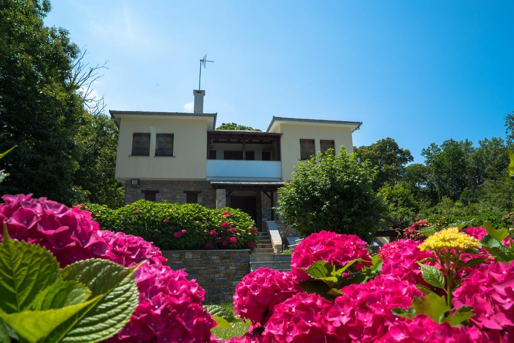 Luxury Villa With Pool In Цагкарада Екстер'єр фото